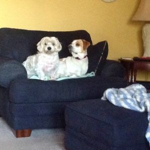 Meet your Posher, Diana